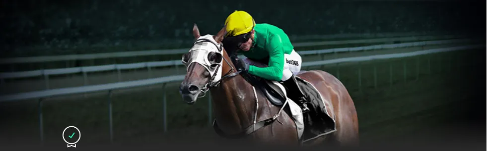 罗韦拉与贡,多齐受贝隆,青睐,PG电子官网,PG电子试玩,PG电子模拟器,PG电子平台,PG电子下载