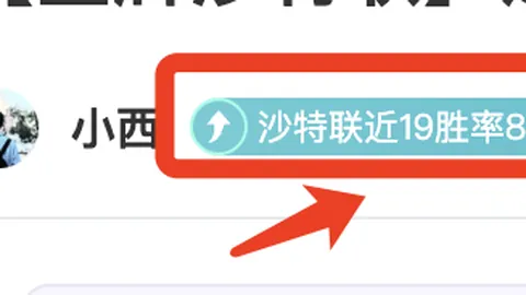 2025年度第十五届全国名校EMBA网球精英赛隆重开幕